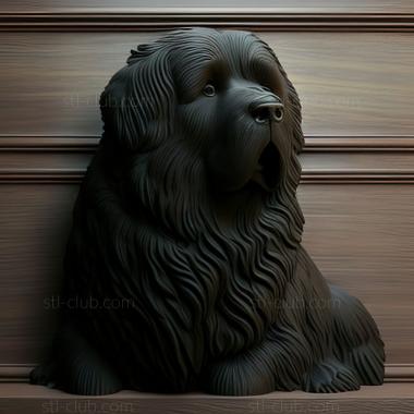 3D model st Newfoundland dog breed dog (STL)